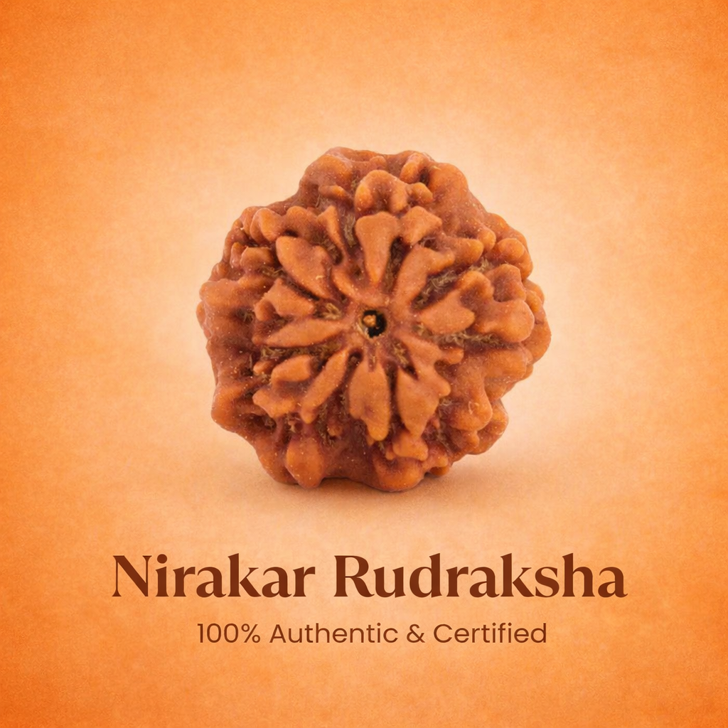 Nepali Nirakar Rudraksha