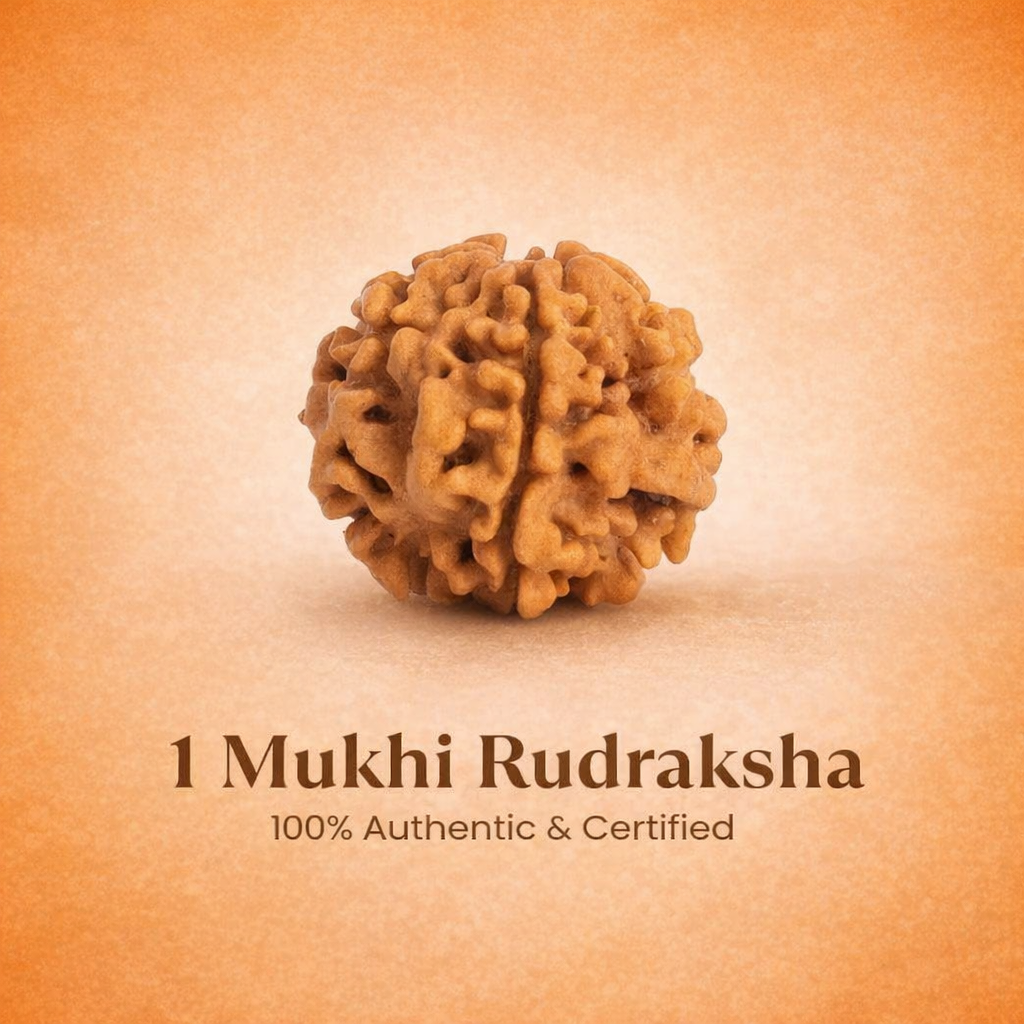 Nepali 1 Mukhi Rudraksha