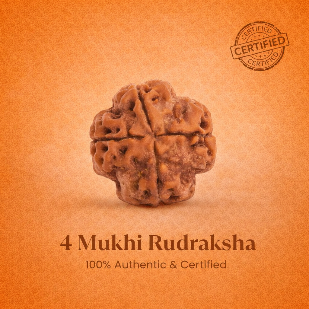 Nepali 4 Mukhi Rudraksha