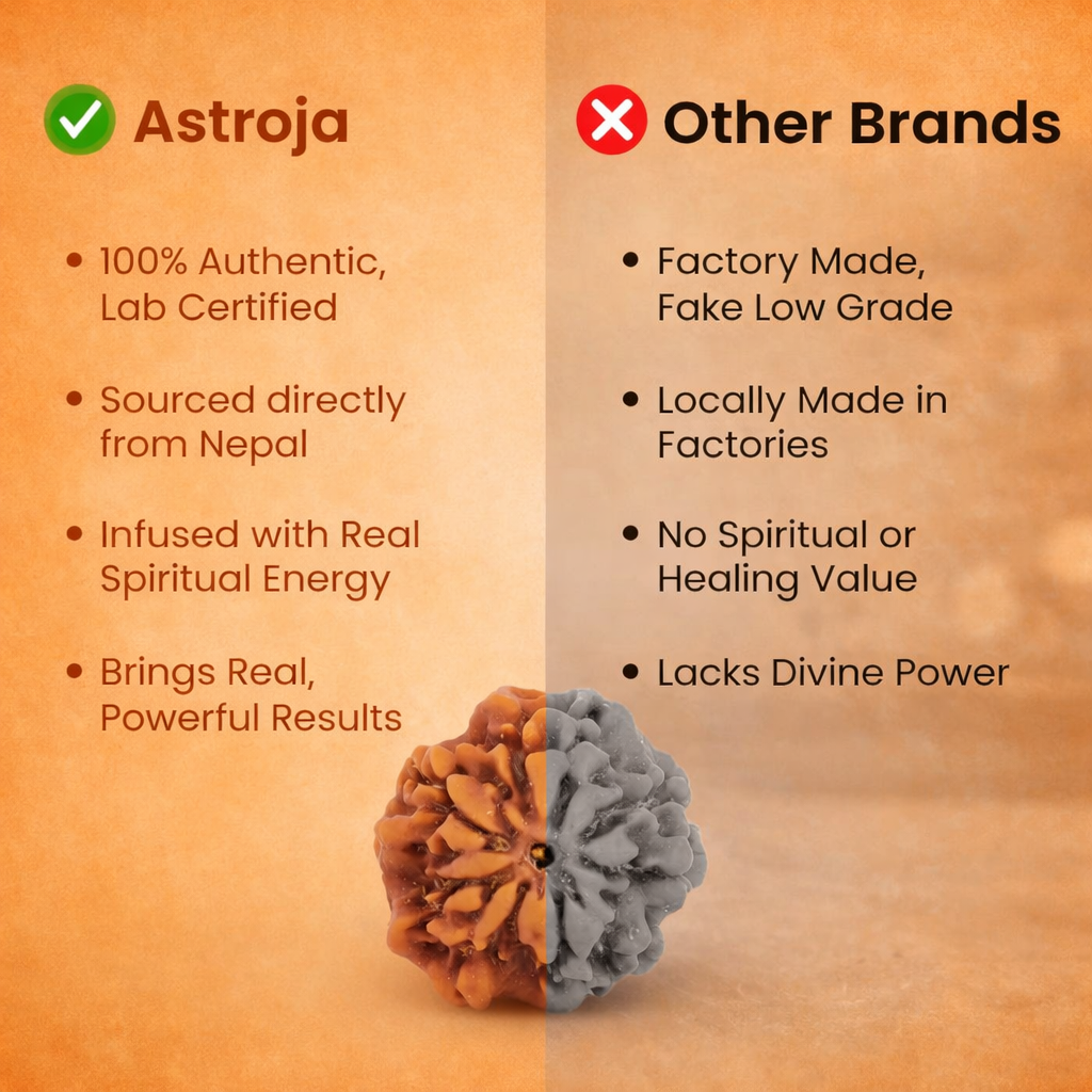 Nepali Nirakar Rudraksha - Image 2