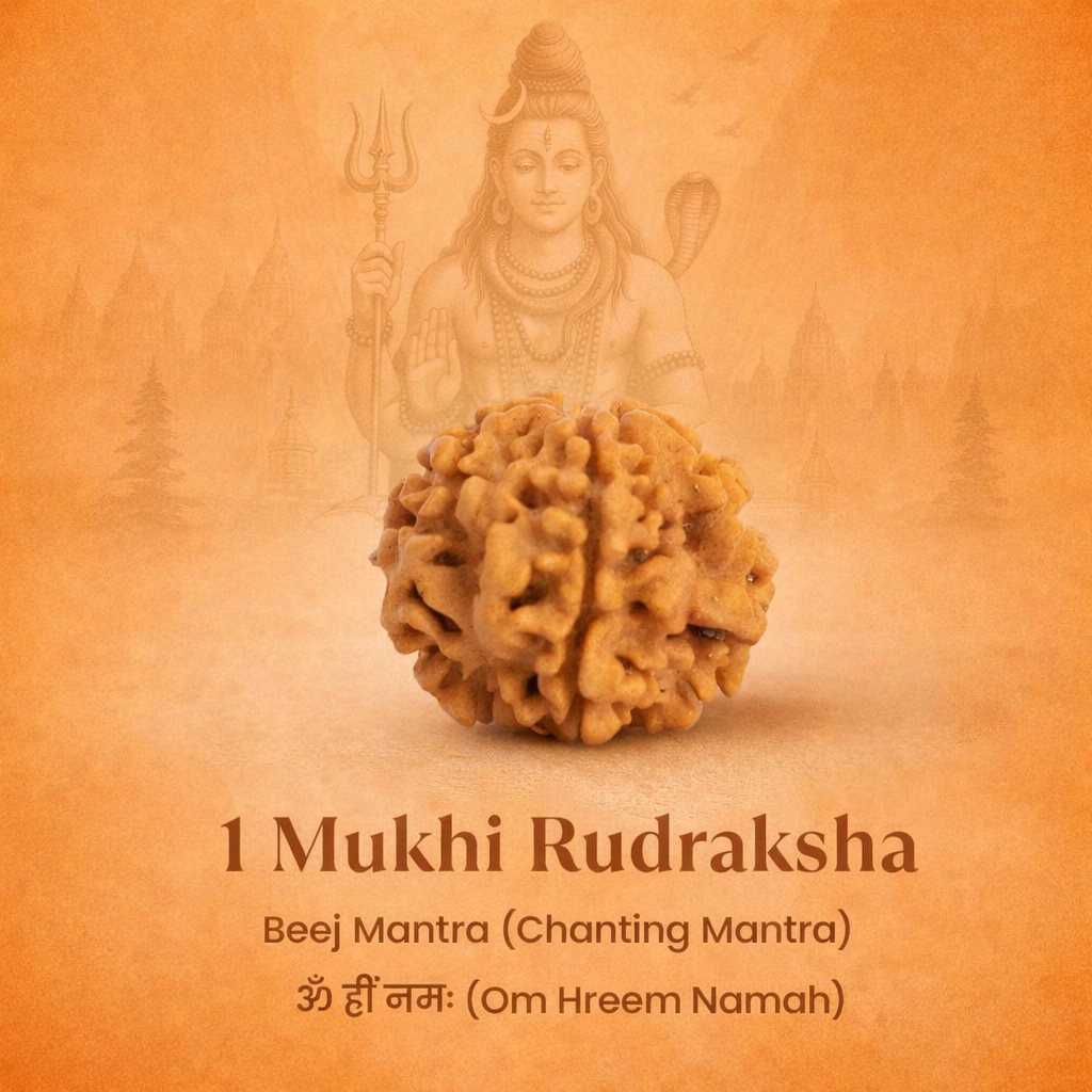 Nepali 1 Mukhi Rudraksha - Image 1