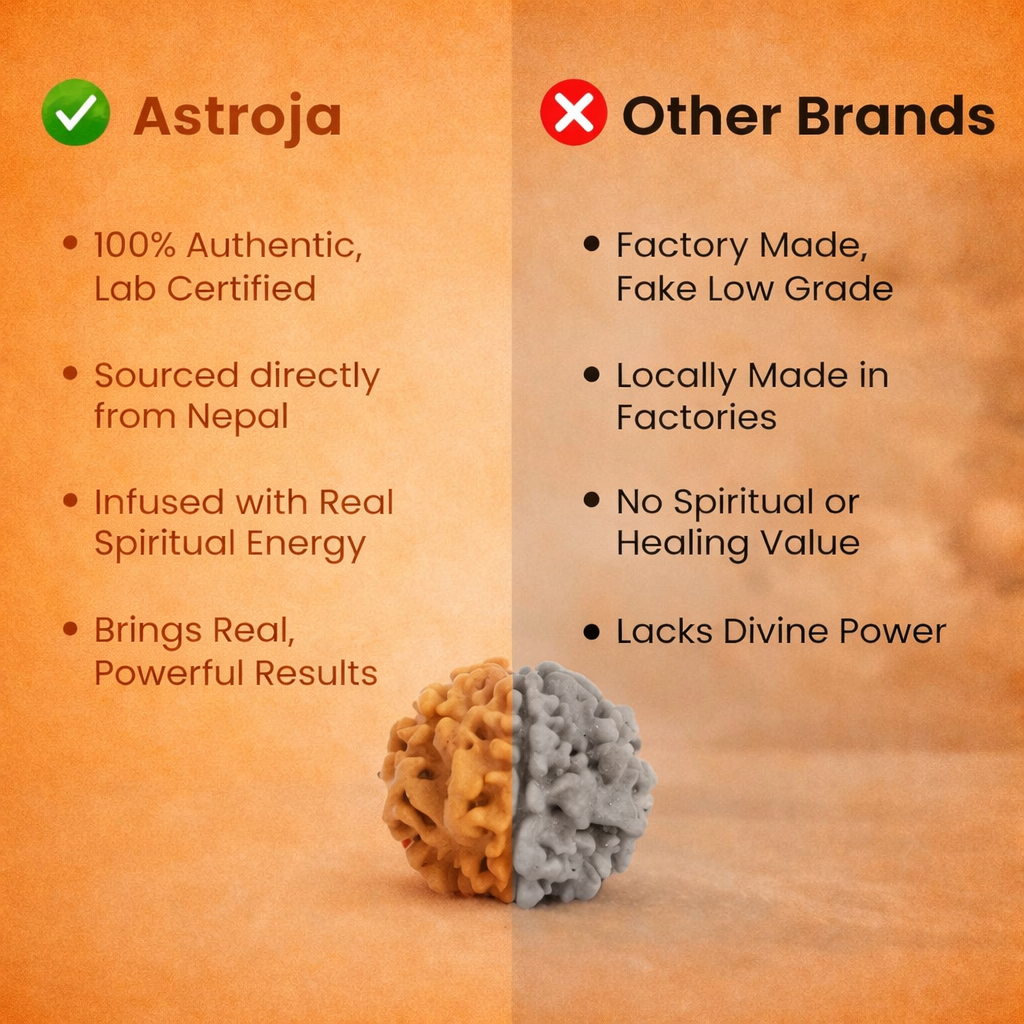 Nepali 1 Mukhi Rudraksha - Image 4