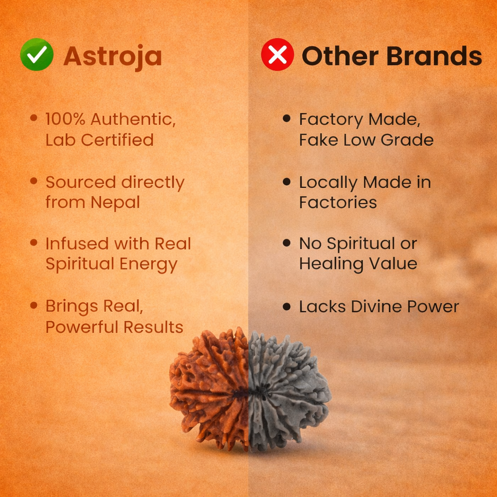 Nepali 2 Mukhi Rudraksha - Image 3