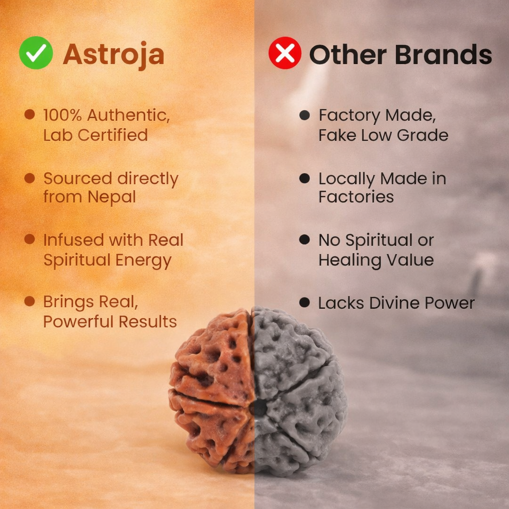 Nepali 6 Mukhi Rudraksha - Image 3