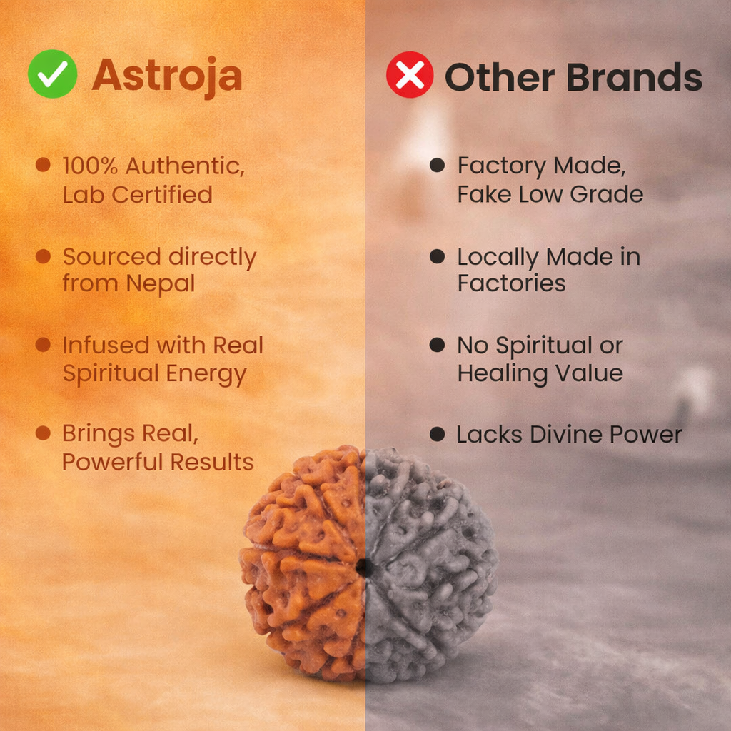 Nepali 8 Mukhi Rudraksha - Image 3