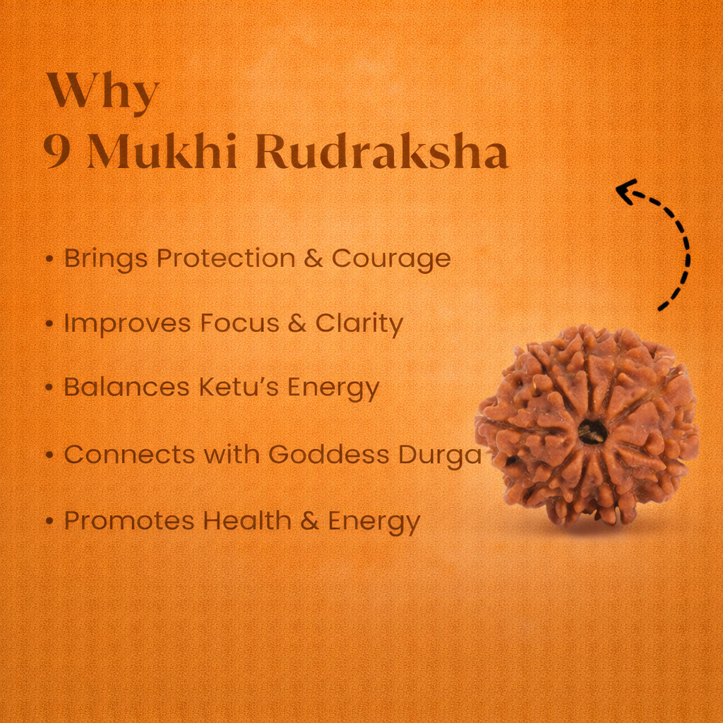Nepali 9 Mukhi Rudraksha - Image 1