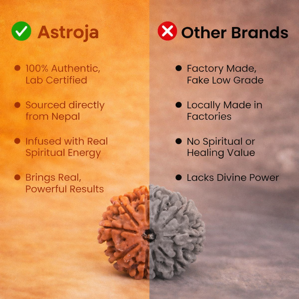 Nepali 10 Mukhi Rudraksha - Image 3