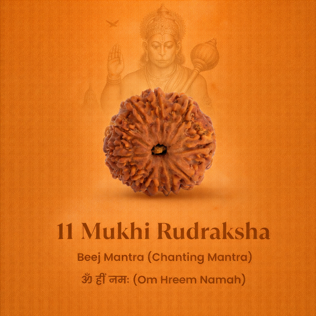 Nepali 11 Mukhi Rudraksha - Image 2